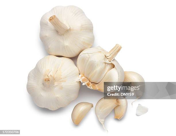 garlic - onion family stock pictures, royalty-free photos & images