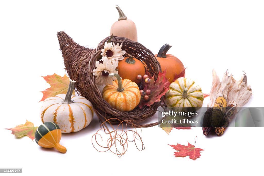 Cornucopia (XL)