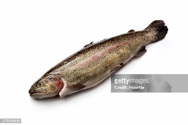 seafood: trout - forel stockfoto's en -beelden