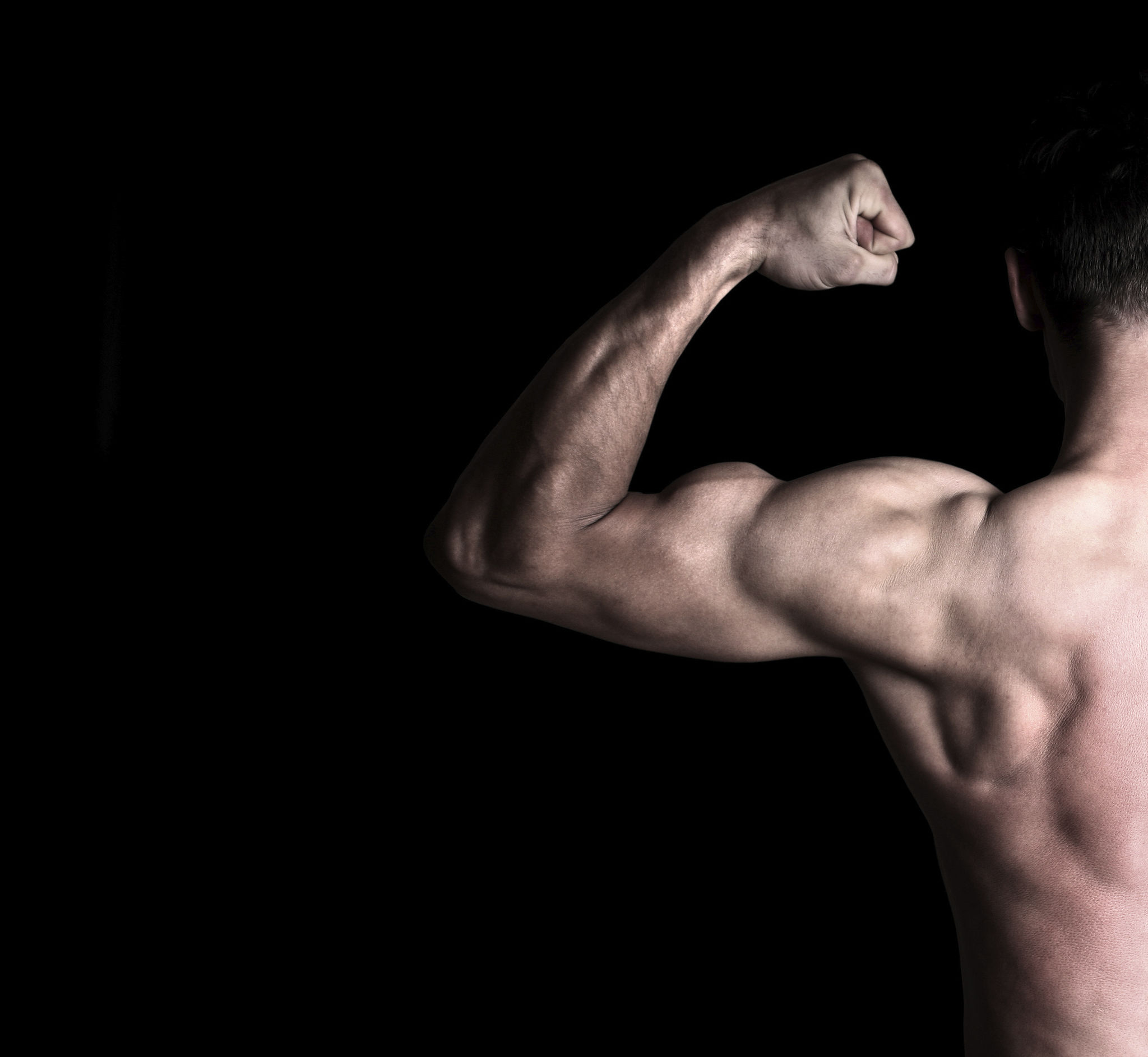 Muscle Muscle