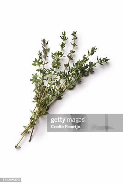 fresh herbs: thyme - isolated twig stock pictures, royalty-free photos & images