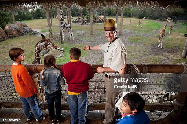children with zookeeper at giraffe exhibit - zoologist stock pictures, royalty-free photos & images