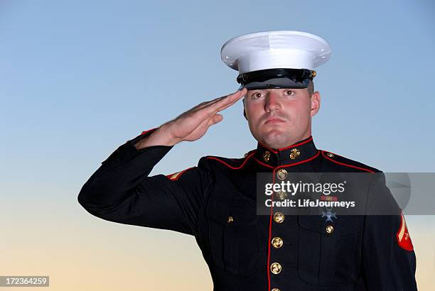 semper fi - always faithful - saluting military officer stock pictures, royalty-free photos & images