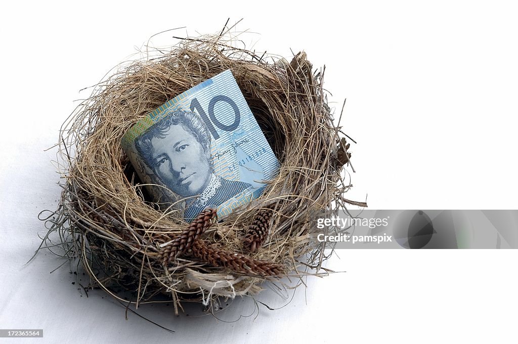 Small Savings Nest Egg