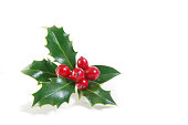 Sprig of green holly and ripe red berries