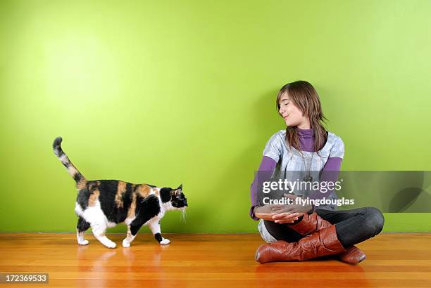 Menina E Os Fat Cat Expresso Inglesa, Foto de stock