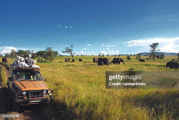 safari goers watching elephants on the serengeti plain, tanzania - safari stockfoto's en -beelden