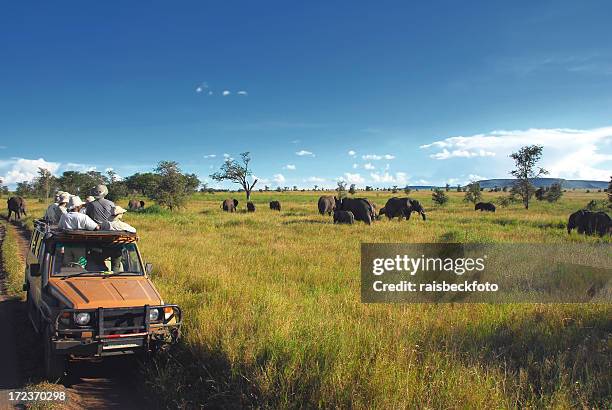 safari goers watching elephants on the serengeti plain, tanzania - tourist africa stock pictures, royalty-free photos & images