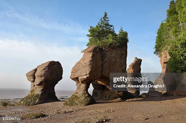 hopewell rocks in the sunrise - bay of fundy stock pictures, royalty-free photos & images