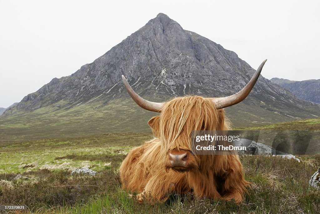 Quintessential Scotland