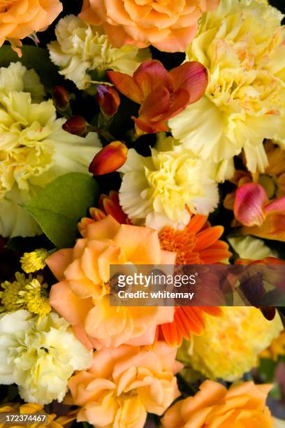 herbstliche pracht - bouquet orange stock-fotos und bilder