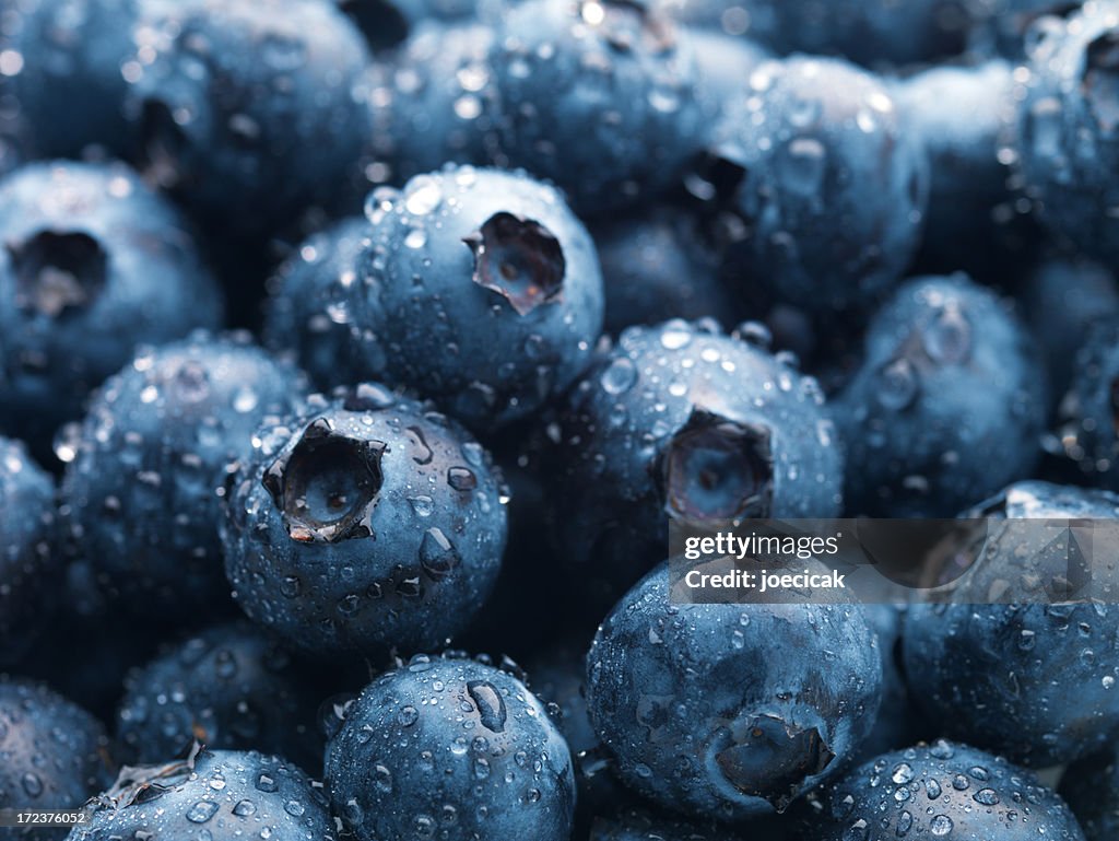 Blueberries XXL