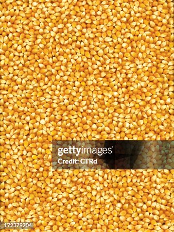 Corn Corn