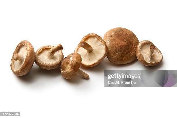 mushrooms: shiitake mushrooms isolated on white background - shiitake mushroom stockfoto's en -beelden