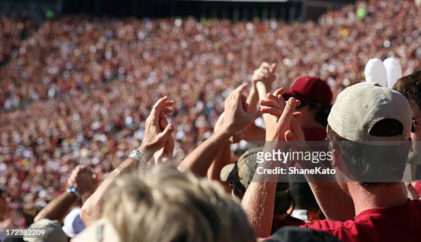 wild fans at sporting event - crowd cheering stock pictures, royalty-free photos & images