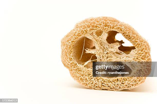 loofah 2 - loofah spons stockfoto's en -beelden