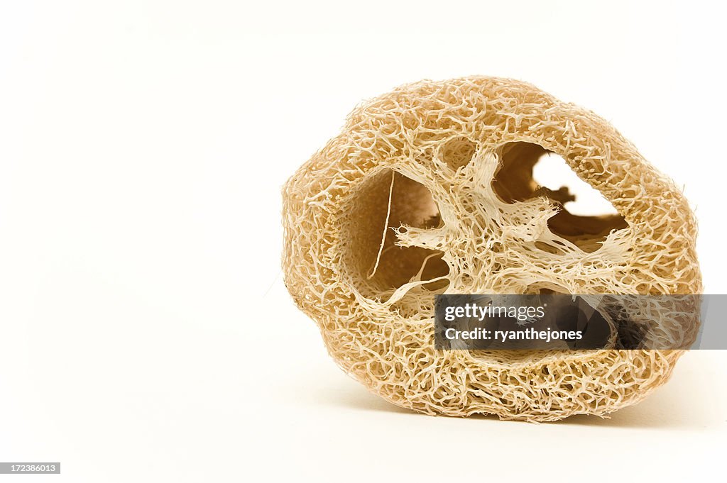 Esponja 2