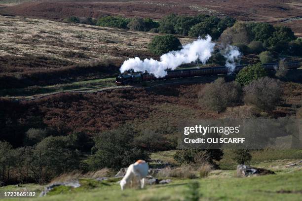 Steam train passes through the North Yorkshire Moors after departing Goathland Station during a reenactment-themed weekend, 'Through the Decades'...