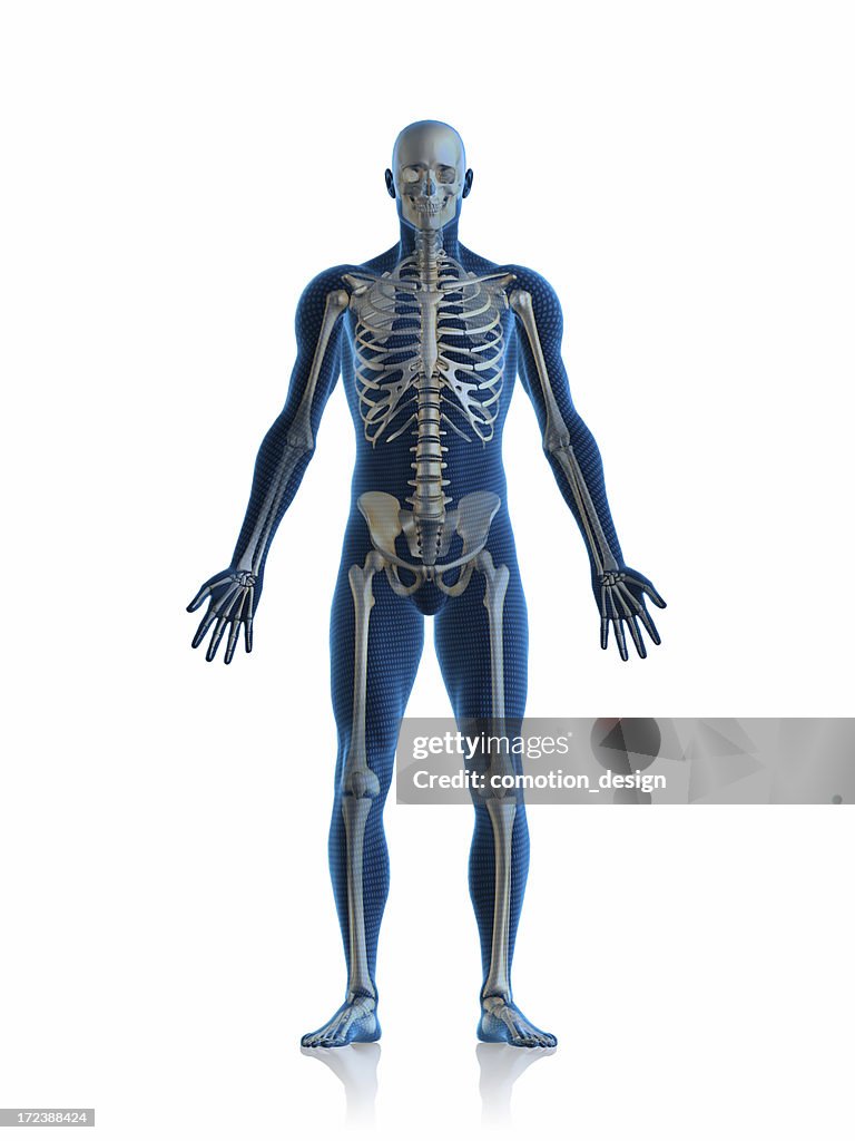 Skeleton man