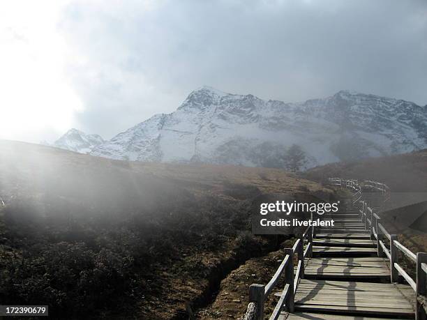 wooden walkway in fog leads to jade dragon snow mountain - south china 個照片及圖片檔