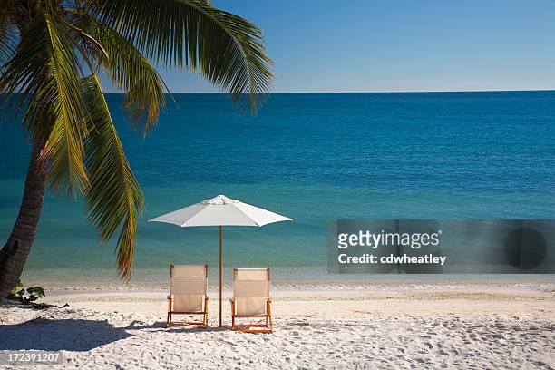 silla en las playas de los cayos de florida - silla de jardín fotografías e imágenes de stock