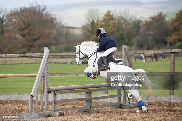 up and over - equestrian show jumping stock pictures, royalty-free photos & images