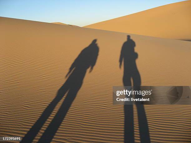 two shadows in the gobi desert of mongolia - number 2 outline stock pictures, royalty-free photos & images