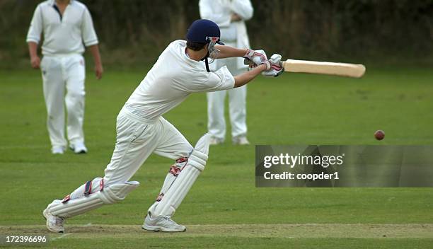 cricketer playing cut shot - cricket bat stockfoto's en -beelden