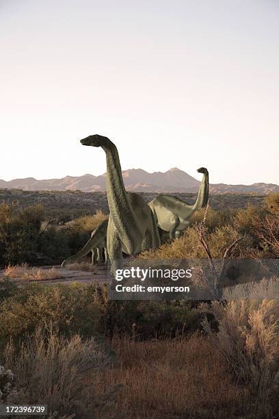 dinosaurs - apatosaur stock pictures, royalty-free photos & images