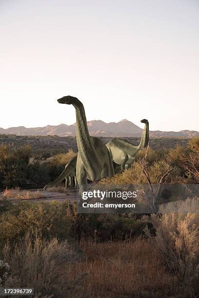 dinosaurs - dinosaurie bildbanksfoton och bilder