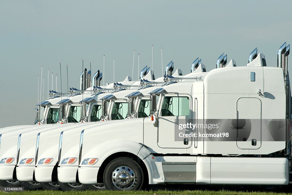 Six identical white semi trucks parked together