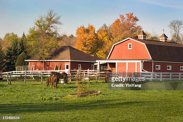 horse ranch with pasture, stable barn and farmhouse in autumn - horse barn stock pictures, royalty-free photos & images