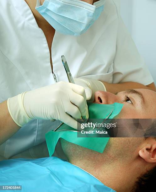 de trabalho dentário - canal da raiz imagens e fotografias de stock