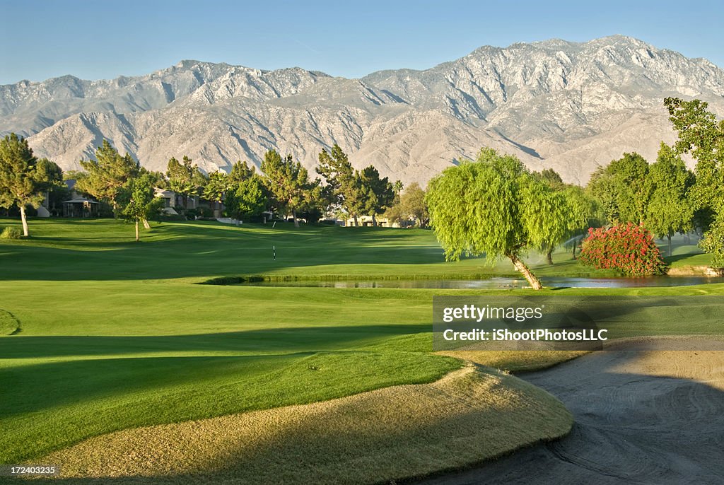 Desert Golf Resort