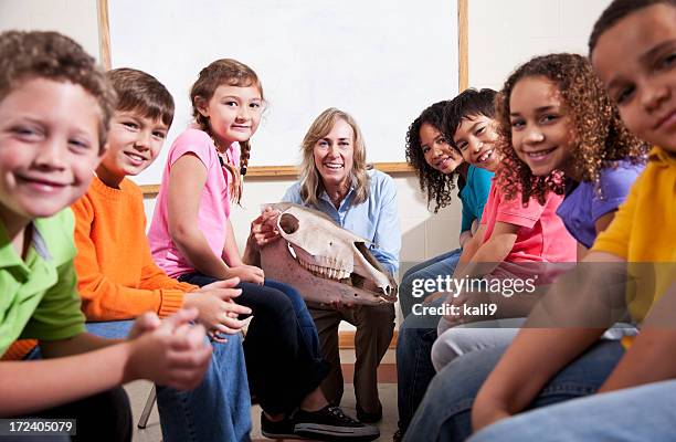 teacher showing animal skull to students - zoo keeper stock pictures, royalty-free photos & images