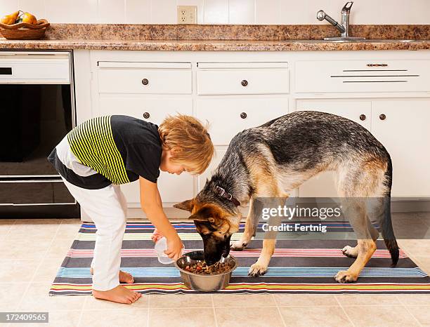 nutrizione il cane di famiglia - feeding foto e immagini stock