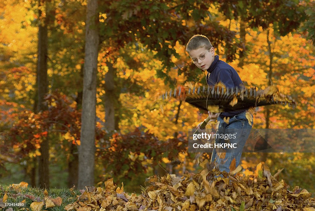 Menino Raking folhas 4