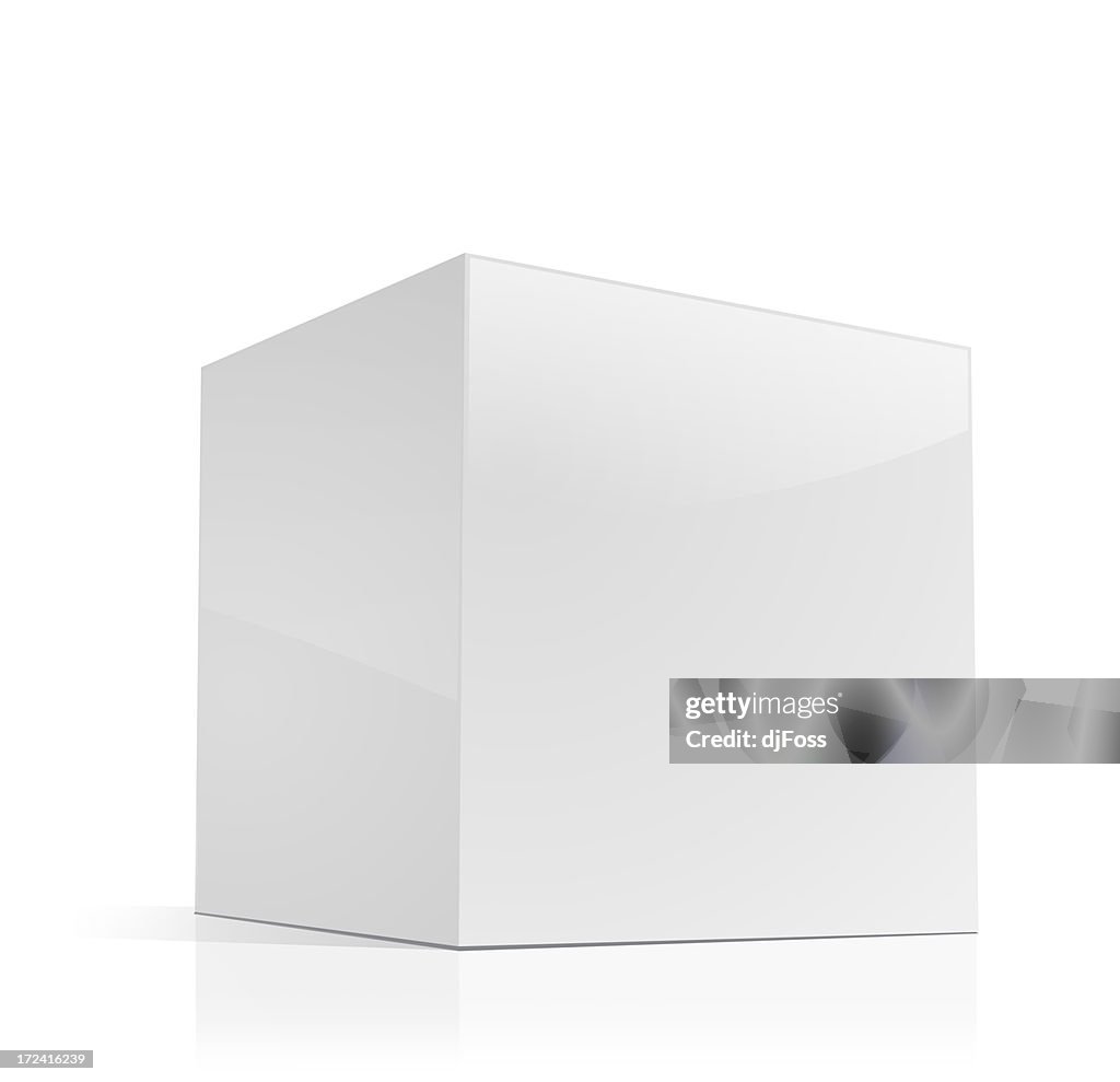 Cube-shaped Software Package Box
