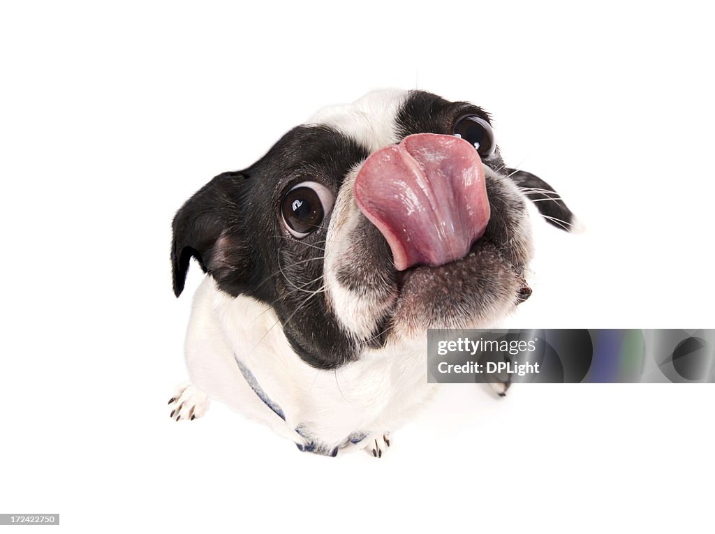 ヤム