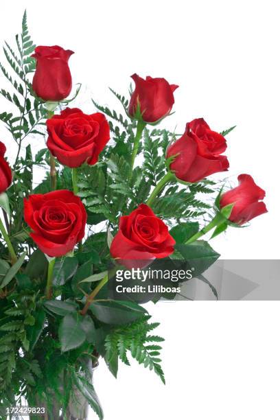 rosas vermelhas (xl - dozen roses - fotografias e filmes do acervo