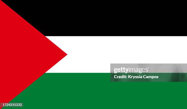 flag of state of palestine - västbanken bildbanksfoton och bilder