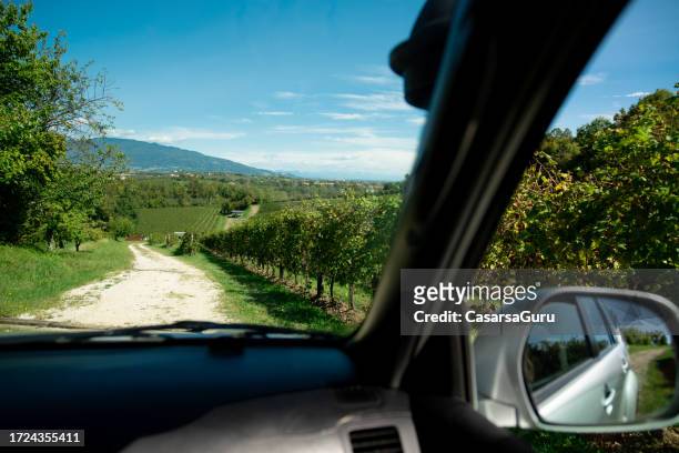 view over italian countryside in veneto from a passanger car seat - veneto vineyard stock pictures, royalty-free photos & images