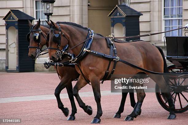 royal carriage and horses leaving buckingham palace - carriage wheel stock pictures, royalty-free photos & images