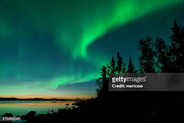 summer aurora on lake - noorderlicht stockfoto's en -beelden