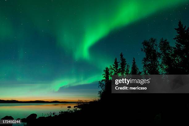 summer aurora on lake - northern lights stock pictures, royalty-free photos & images