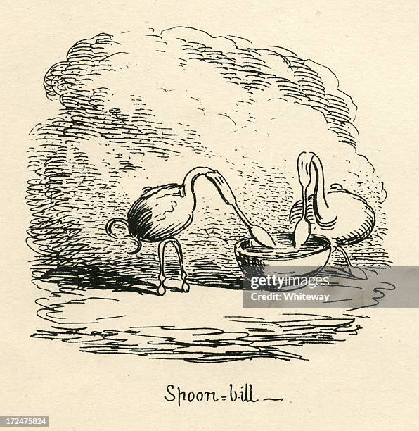 humour spoon-bill spoonbills feeding cruikshank 19th century cartoon - spoonbill stock illustrations
