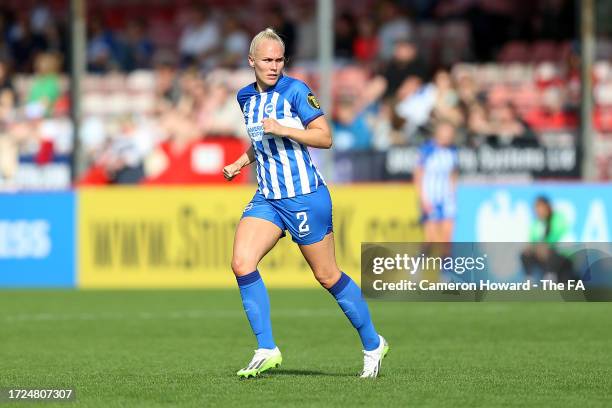 Maria Thorisdottir of Brighton & Hove Albion looks on during the Barclays Women´s Super League match between Brighton & Hove Albion and West Ham...