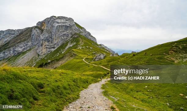 a view of a hiking trail on mount pilatus near lucerne in central switzerland - bildtechnik stock-fotos und bilder