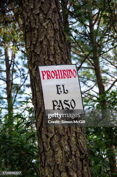 spanish-language sign on a pine tree trunk stating 'prohibido el paso' [no entry] - prohibido stock pictures, royalty-free photos & images