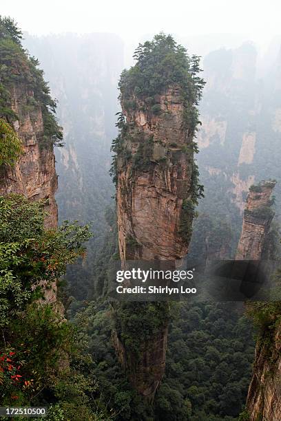 zhangjiajie national park - zhangjiajie national forest park stock pictures, royalty-free photos & images